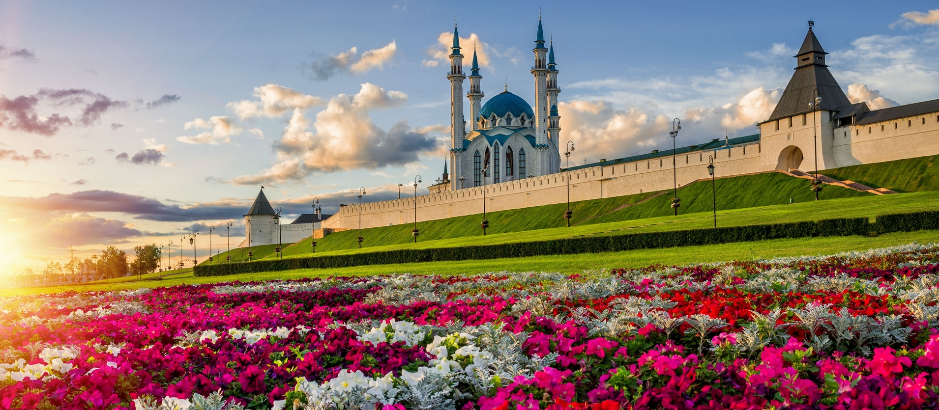 Фото курая башкортостан