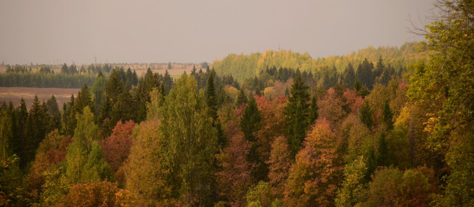 Баймакский район фото